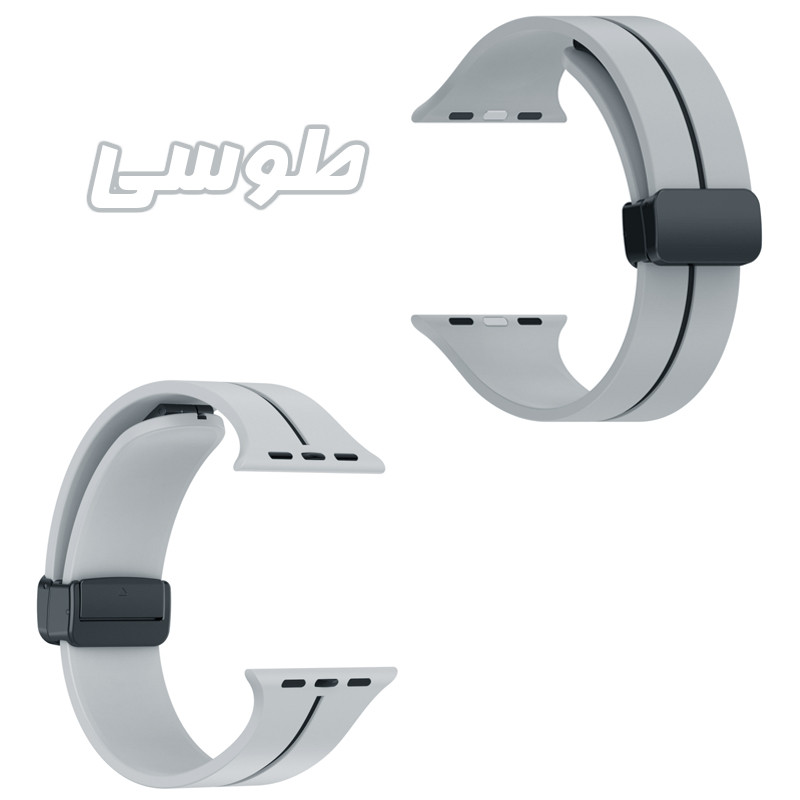 بند گوف مدل DS-Magnetic مناسب برای اپل واچ سری 1/2/3/4/5/6/7/8/9سایز 38/40/41 میلی متری