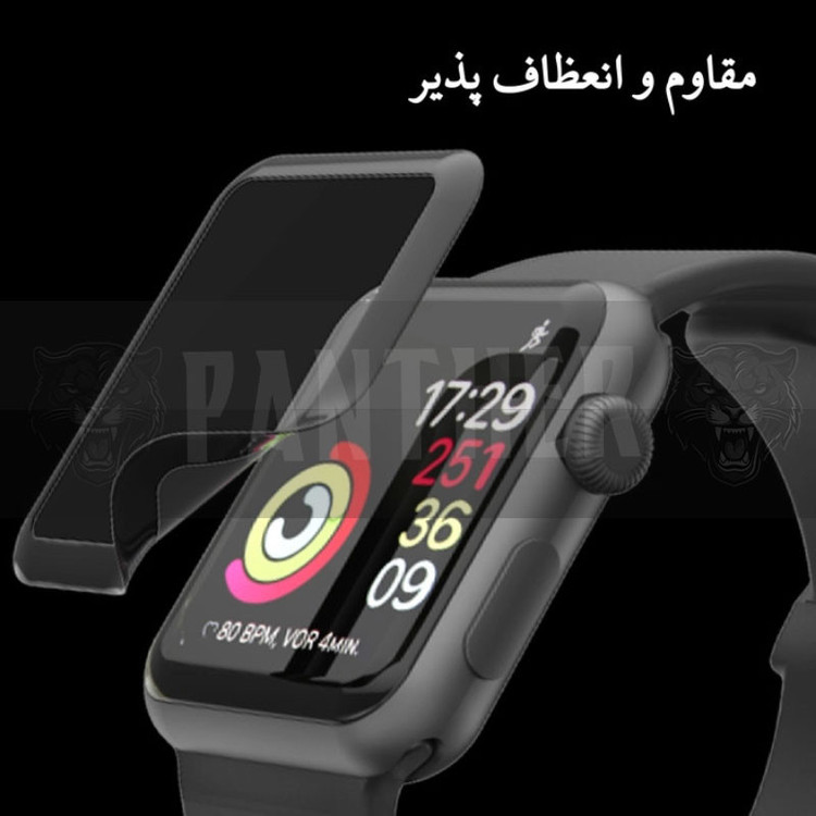 محافظ صفحه نمایش پنتر مدل PMMA مناسب برای اپل واچ سری 9 سایز 45 میلی متری