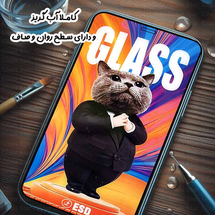 محافظ صفحه نمایش گلس استار مدل SCATG20 مناسب برای گوشی موبایل اپل iPhone 11 Pro Max / iPhone XS Max